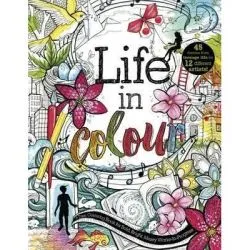Life in Colour. A Teen Colouring Book for Bold, Bright, Messy Works-In-Progress