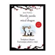 Marele panda si micul dragon