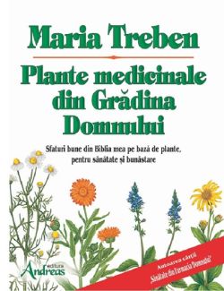 Plante medicinale din Gradina Domnului