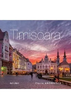 Timisoara de Florin Andreescu