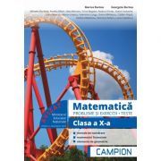 Matematica. Probleme si exercitii, teste pentru clasa a 10-a