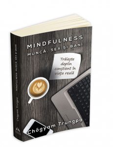 Mindfulness: Munca, Sex si Bani