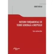 Notiuni fundamentale de teorie generala a dreptului de Ionut Nefliu