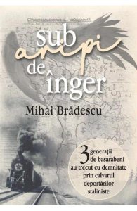 Sub aripi de inger