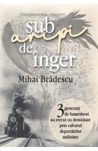 Sub aripi de inger de Mihai Bradescu