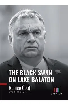 The Black Swan on Lake Balaton de Romeo Couti