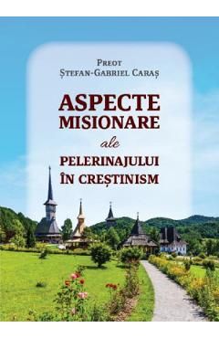 Aspecte misionare ale pelerinajului in crestinism