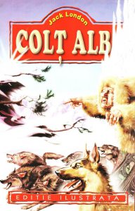 Colt alb