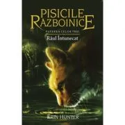 Pisicile Razboinice. Puterea celor trei. Cartea 14. Raul intunecat de Erin Hunter