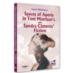 Spaces of Aporia in Toni Morrison