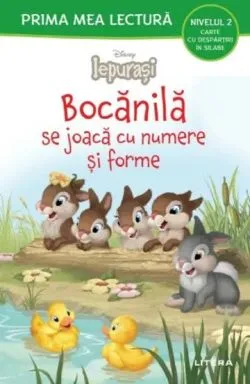 Bocanila se joaca cu numere si forme de Anonim