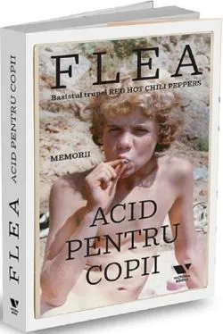 Acid pentru copii. Memorii - Flea de Flea
