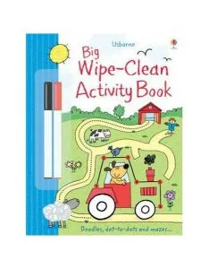 Big Wipe Clean Activity Book de Sam Taplin