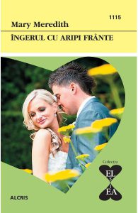 Ingerul cu aripi frante
