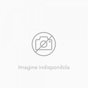 Istorie. Caietul elevului clasa a VI-a