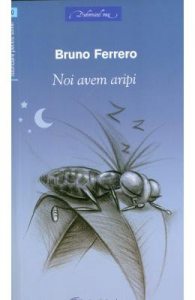 Noi avem aripi