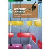 Volumul 13. Mari idei ale matematicii. Revolutia algebrei. Nasterea teoriei grupurilor de Jorge Calero Sanz