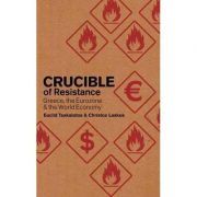 Crucible of Resistance. Greece, the Eurozone and the World Economic Crisis