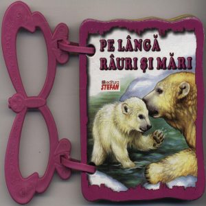 Pe langa rauri si mari