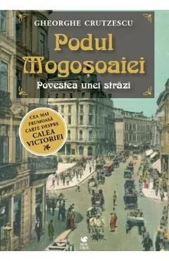 Podul Mogosoaiei. Povestea unei strazi de Gheorghe Crutzescu