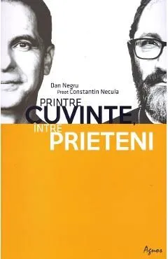 Printre cuvinte intre prieteni de Dan Negru