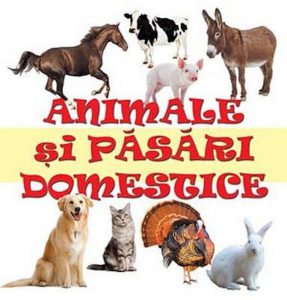 Animale si pasari domestice