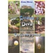 Cetatea Deva. Ecosistem si simbol