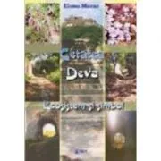 Cetatea Deva. Ecosistem si simbol de Elena Morar