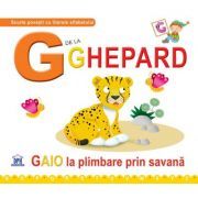 G de la ghepard. Cartonata