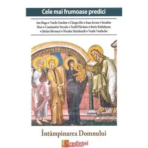 Intampinarea domnului de Constantin Necula