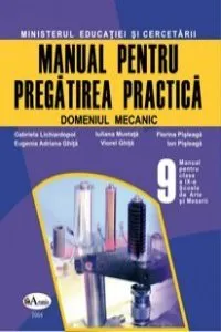Pregatirea practica. Manual SAM clasa a IX-a de Gabriela Lichiardopol