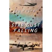 Star Dust Falling. The Story of the Plane That Vanished de Jay Rayner