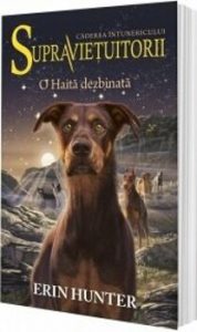 Supravietuitorii. Vol. 7. O Haita dezbinata