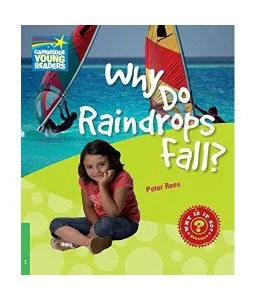 Why Do Raindrops Fall? Level 3 Factbook de Peter Rees
