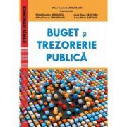 Buget si trezorerie publica