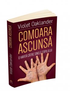Comoara ascunsa