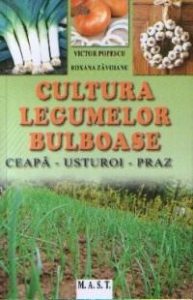 Cultura legumelor bulboase