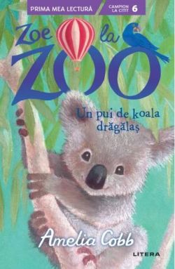 Un pui de koala drăgălaș
