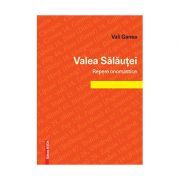 Valea Salautei, repere onomastice