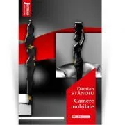 Camere mobilate. Editia 2020 de Damian Stanoiu