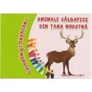 Coloram si invatam! Animale salbatice din tara noastra de Adina Grigore