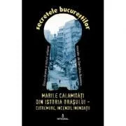 Marile calamitati din istoria orasului. Cutremure, incendii, inundatii, epidemii de Dan-Silviu Boerescu