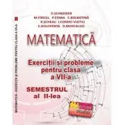 Matematica. Exercitii si probleme clasa a 7-a Semestrul al 2-lea de Delia Schneider