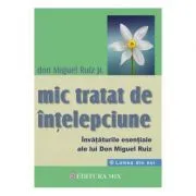 Mic tratat de intelepciune. Invataturile esentiale ale lui Don Miguel Ruiz de Don Miguel Ruiz Jr.
