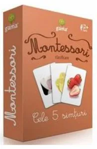 Montessori. Clasificare de Cele 5 simturi