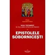 Noul Testament in talcuirea Sfintilor Parinti. Volumul 9. Epistolele Sobornicesti de Pr. Ioan Sorin Usca