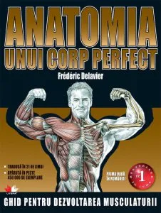 Anatomia unui corp perfect