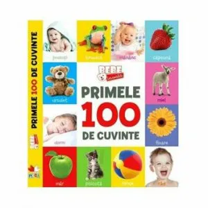 Bebe Invata. Primele 100 de Cuvinte.