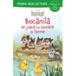 Disney Iepurasi. Bocanila se joaca cu numere si forme (Nivelul 2 Carte cu despartiri in silabe)