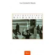 Indumnezeirea maidanului de Constantin Necula